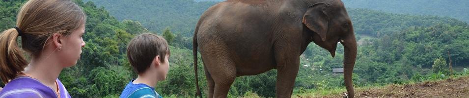 The Children Up & Close with Elephant